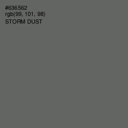 #636562 - Storm Dust Color Image